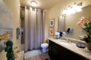 luxury 1 bedroom non-student apartment restroom in statesboro